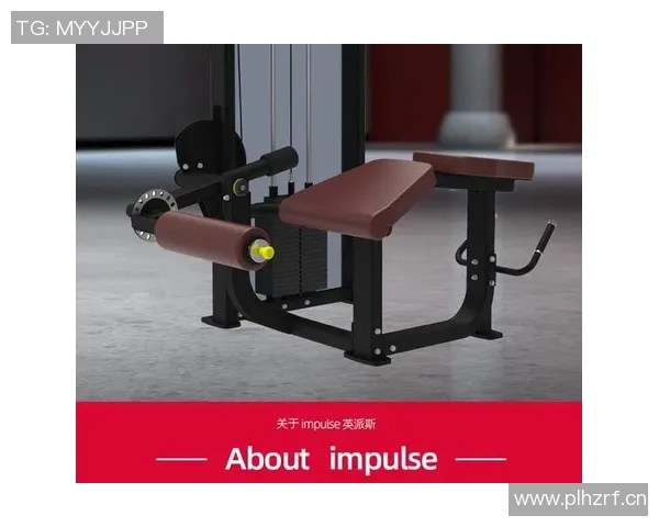 英派斯组合健身器材：英派斯组合健身器材的优势与使用建议